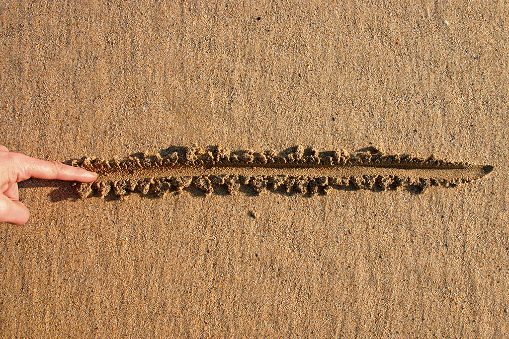 line in the sand