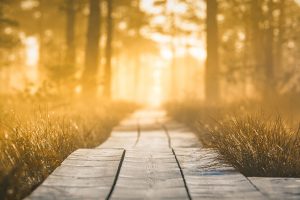 path to new beginnings