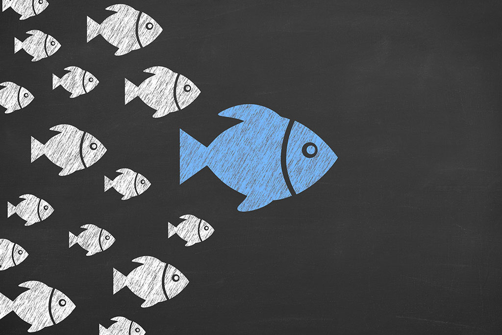illustration of one fish leading a pack of other fish