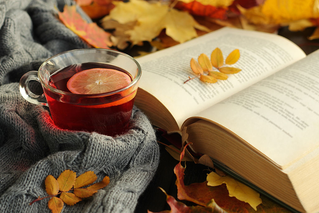 Gratitude at the Thanksgiving Season