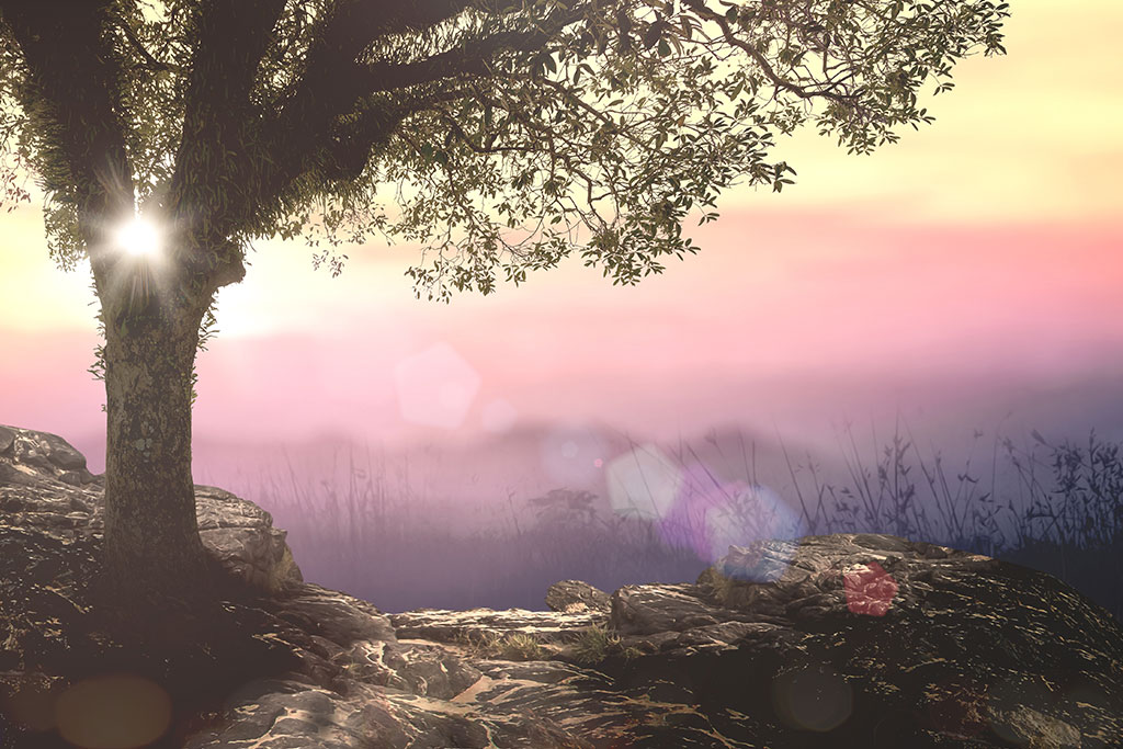 Representation of the Garden of Eden