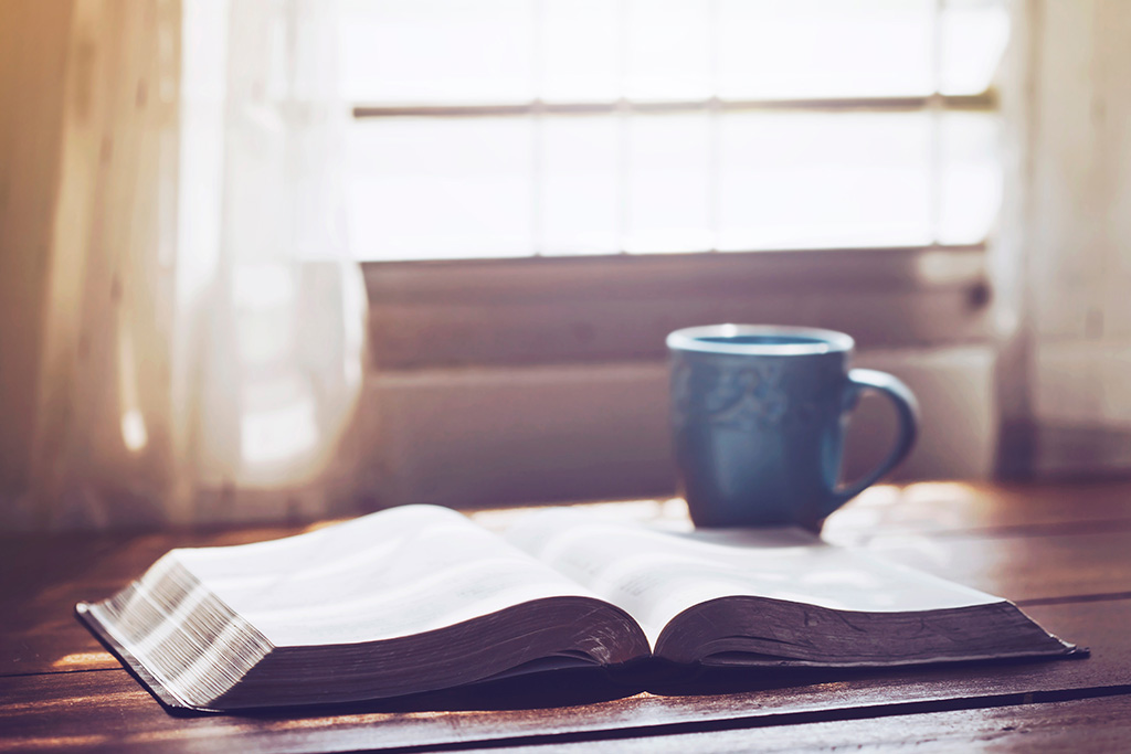Open Bible studying the Psalms