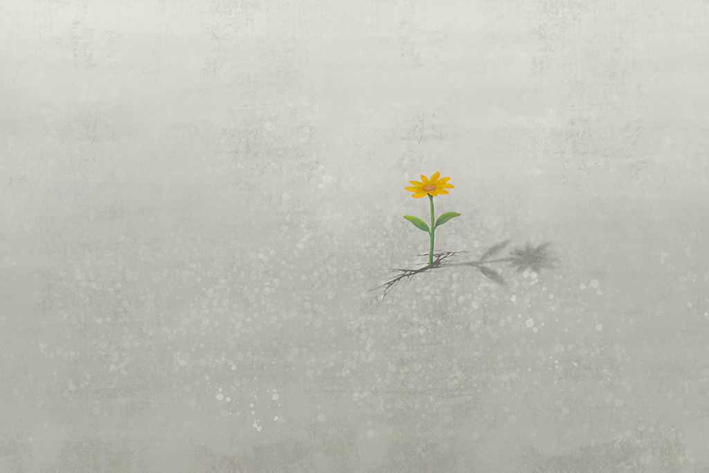 Small flower growing out of a crack