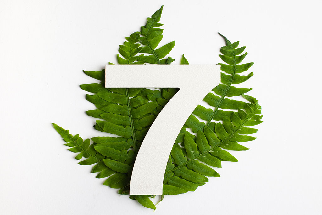 The number 7