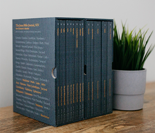 The Jesus Bible Journals