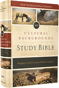NIV Cultural Backgrounds Study Bible