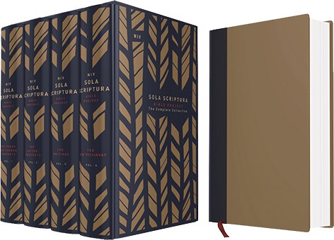 NIV Sola Scriptura Project