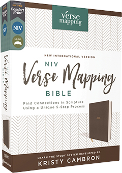 NIV Verse Mapping Bible