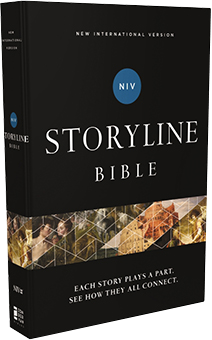 NIV Storyline Bible
