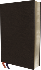 NIV Study Bible Fully Revised Edition black bonded
