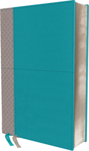 NIV Study Bible Fully Revised Edition teal/gray leathersoft