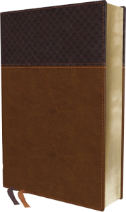 NIV Study Bible Fully Revised Edition Large Print brown leathersoft