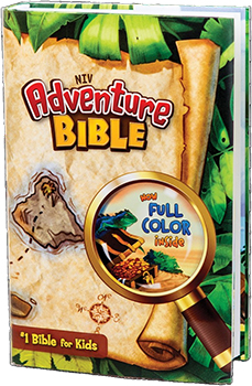 NIV Adventure Bible