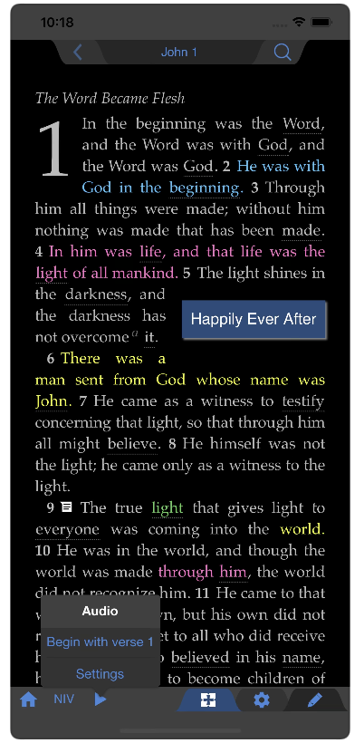 NIV App screen 2