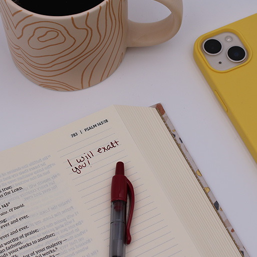 NIV Journal Bible