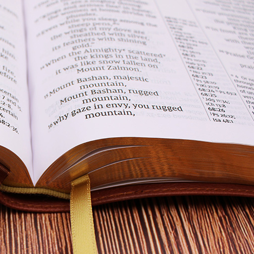 NIV Large Print Bible