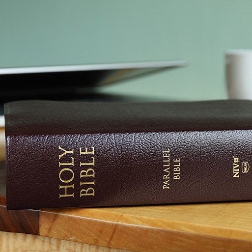 NIV Parallel Bible